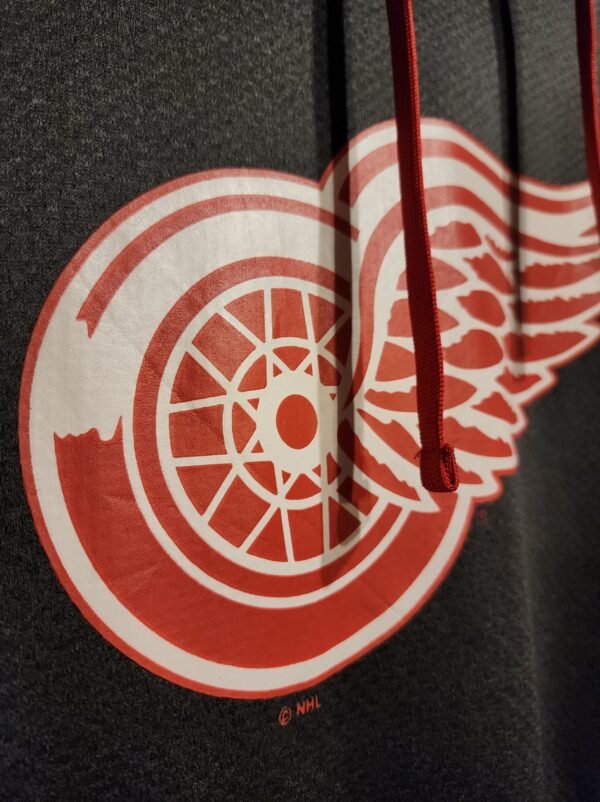 BUZO REDWINGS - Imagen 2