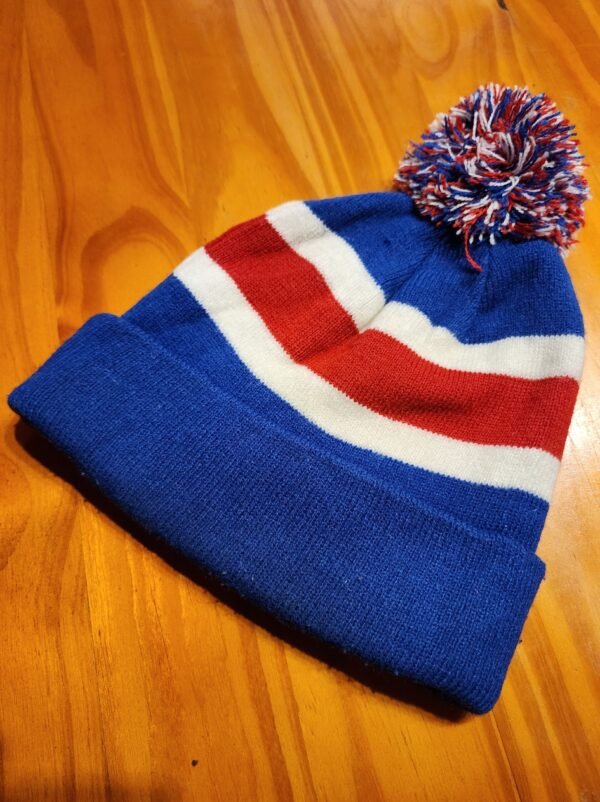 GORRO PISTONS - Imagen 3